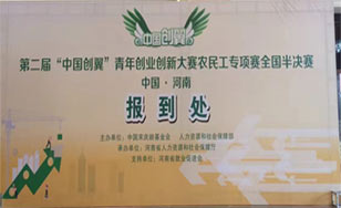 中國(guó)創(chuàng)翼